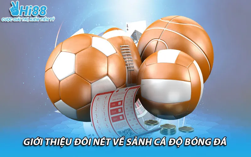 Giới thiệu đôi nét về sảnh cá độ bóng đá