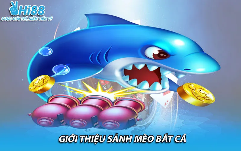 Giới thiệu sảnh mèo bắt cá